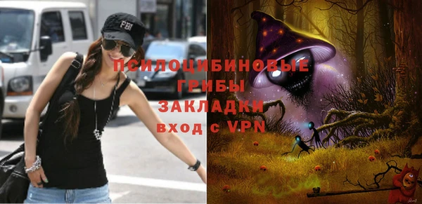 стаф Абдулино