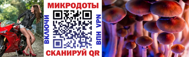 Галлюциногенные грибы прущие грибы Новомичуринск