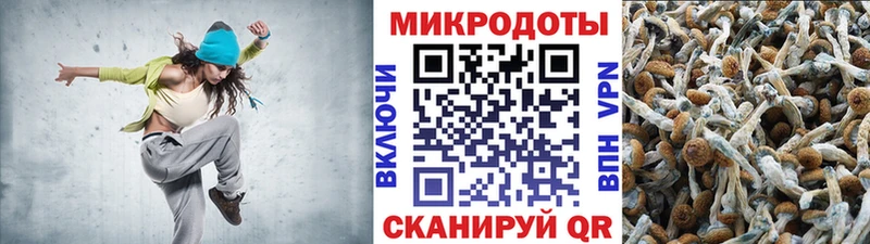 дарнет шоп  Новомичуринск  гидра зеркало  Псилоцибиновые грибы Magic Shrooms 