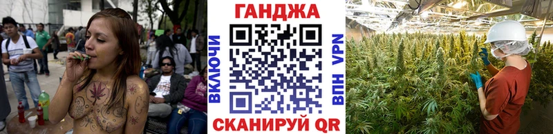 Канабис OG Kush  Новомичуринск 